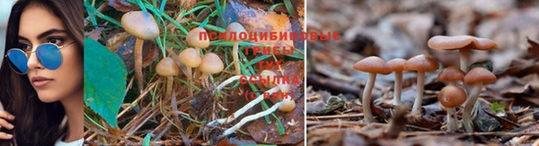 mix Нягань