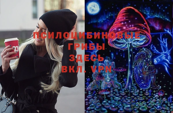 дживик Няндома
