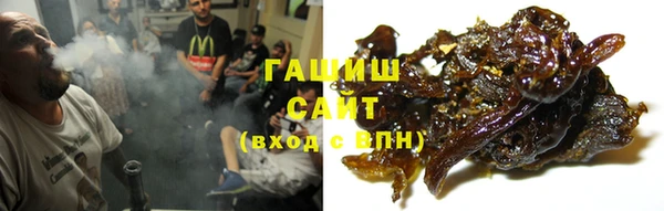 дживик Няндома