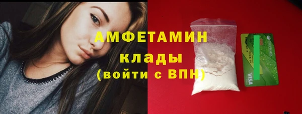 дживик Няндома