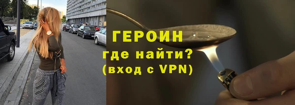 дживик Няндома