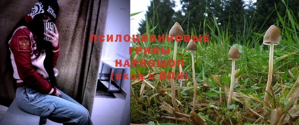mix Нягань