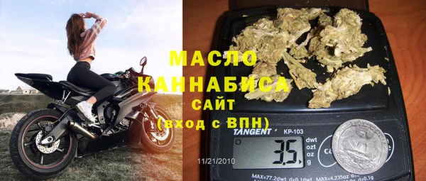дживик Няндома