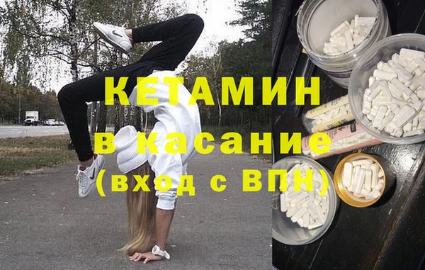 дживик Няндома