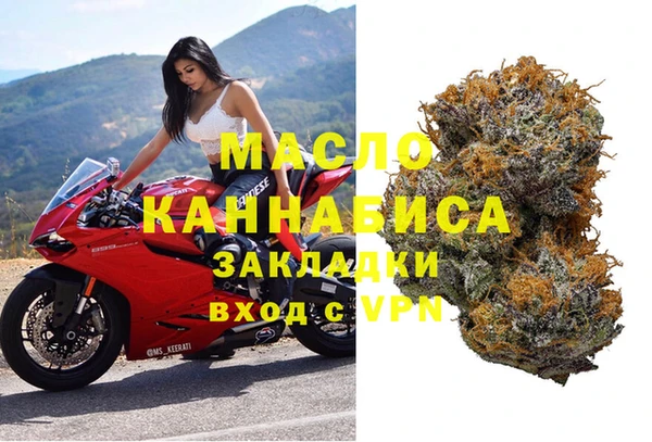 дживик Няндома