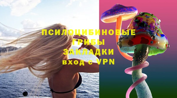 дживик Няндома