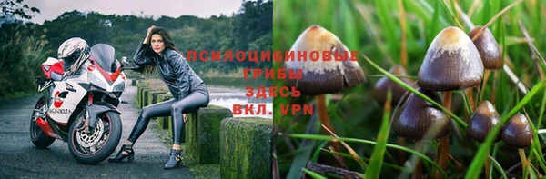 дживик Няндома