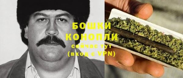шишки Семилуки