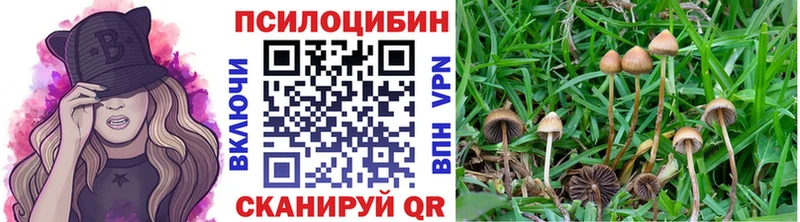 Псилоцибиновые грибы MAGIC MUSHROOMS магазин продажи наркотиков Адыгейск